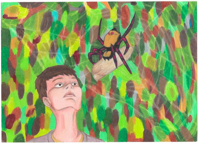 spider